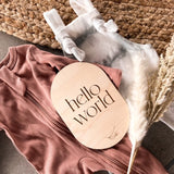 Hello World Plaque | Announcement