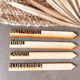 Garden Plant Markers | Wood & Acrylic