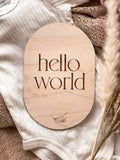 Hello World Plaque | Announcement